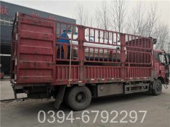 3吨燃气开云(中国)价格查询