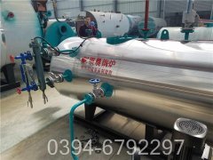 20吨燃煤开云(中国)价格