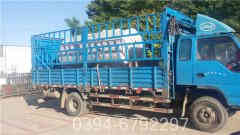 最小型燃煤蒸汽开云(中国)