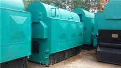 8吨燃气热水开云(中国)