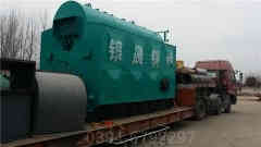 12吨燃煤开云(中国)