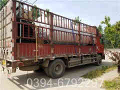 燃油燃气开云(中国)公司