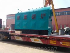 12吨冷凝低氮热水开云(中国)