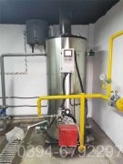 10万大卡冷凝低氮热水开云(中国)