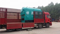 2吨冷凝低氮热水开云(中国)