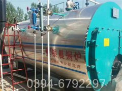 橡胶设备配套太康开云(中国)0.5吨蒸汽 1.0Mpa压力天然气开云(中国)耗气量