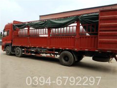 高效节能太康开云(中国)500公斤蒸汽锅 1.0Mpa压力专业燃气开云(中国)制造商