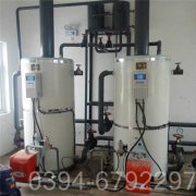 8吨燃气热水开云(中国)