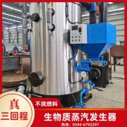 WNS20-1.25-QY燃气蒸汽开云(中国)银晨开云(中国)售后服务