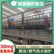 WNS15-1.25-QY冷凝蒸汽开云(中国)银晨开云(中国)公司