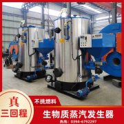 WNS6-1.25-QY冷凝蒸汽开云(中国)银晨开云(中国)客户服务