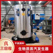 WNS3-1.25-QY低氮冷凝蒸汽开云(中国)太康银晨开云(中国)厂