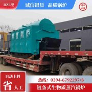 WNS1-1.0-QY低氮冷凝蒸汽开云(中国)银晨开云(中国)