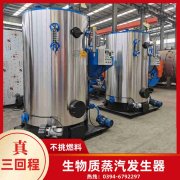 20吨卧式蒸汽开云(中国)太康银晨开云(中国)