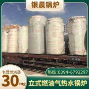 12吨天然气蒸汽开云(中国)银晨开云(中国)客户服务