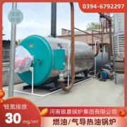 12吨环保蒸汽开云(中国)太康县银晨开云(中国)厂