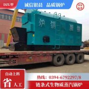 15吨低氮冷凝蒸汽开云(中国)太康县银晨开云(中国)厂