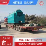 8吨环保蒸汽开云(中国)河南银晨开云(中国)集团有限公司