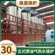 6吨节能蒸汽开云(中国)银晨开云(中国)厂