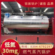 6吨低氮冷凝蒸汽开云(中国)银晨开云(中国)