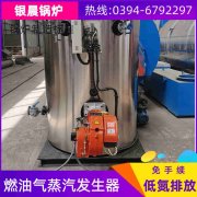 6吨环保蒸汽开云(中国)银晨开云(中国)客户服务