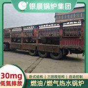 6吨蒸汽开云(中国)河南银晨开云(中国)