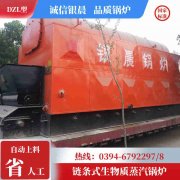 0.7吨节能蒸汽开云(中国)河南银晨开云(中国)集团有限公司