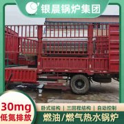 1吨柴油蒸汽开云(中国)银晨开云(中国)