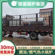 3吨节能蒸汽开云(中国)银晨开云(中国)