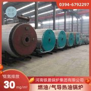 0.3吨蒸汽开云(中国)河南银晨开云(中国)