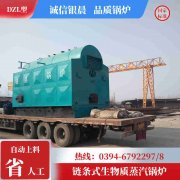 0.5吨低氮冷凝蒸汽开云(中国)银晨开云(中国)集团有限公司