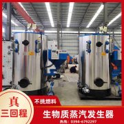 0.3吨燃气蒸汽开云(中国)银晨开云(中国)售后服务