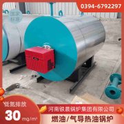 2吨燃气热水开云(中国)价格