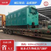 立式燃煤热水开云(中国)