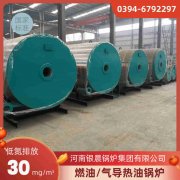 cwns燃油卧式热水开云(中国)