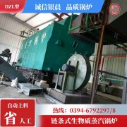 低氮冷凝蒸汽开云(中国)