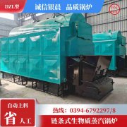 20吨燃油热水开云(中国)