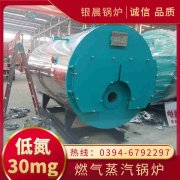 0.2吨燃气热水开云(中国)