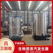 10吨燃油热水开云(中国)