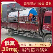 12吨天然气热水开云(中国)