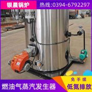 6吨天然气热水开云(中国)