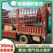 CLHS0.49-85/60-QY液化气热水开云(中国)