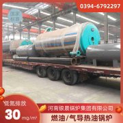 0.2吨燃气热水开云(中国)