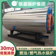 8吨燃气热水开云(中国)