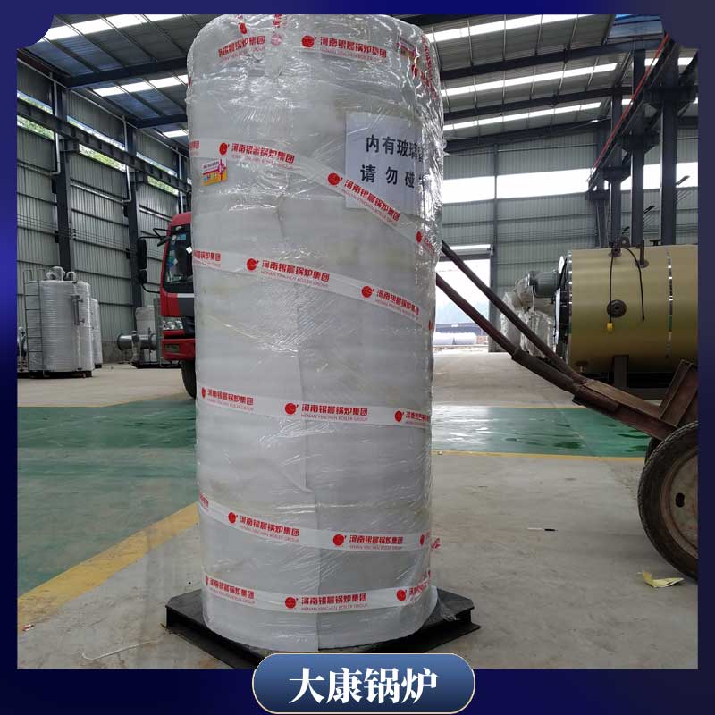 1t燃生物质开云(中国)