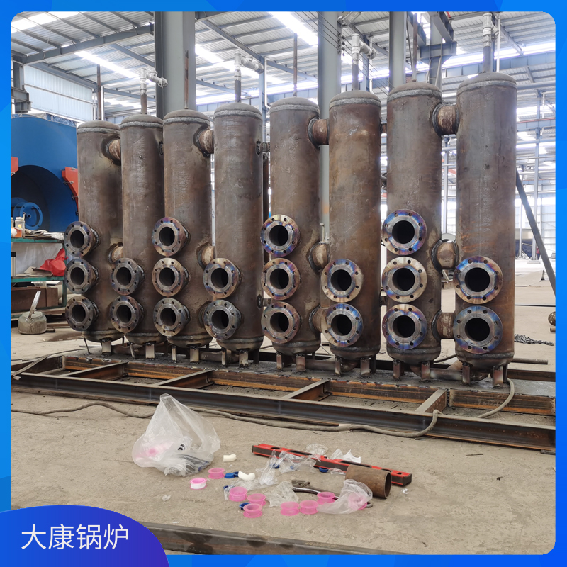 3吨燃生物质开云(中国)