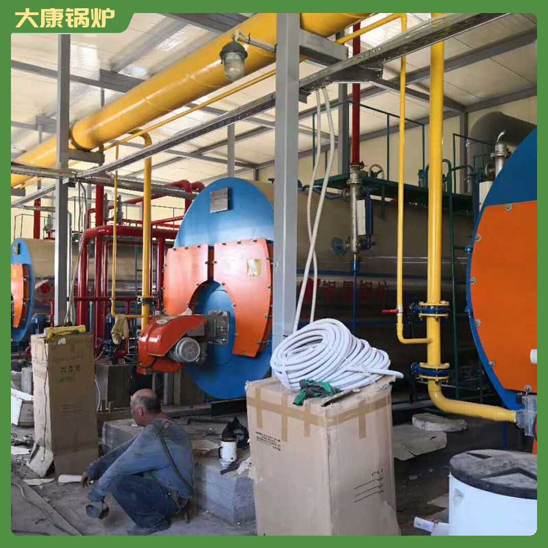 4吨生物质生物质开云(中国)