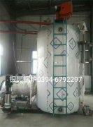 LSS4-1.6-Q型4吨贯流式燃气蒸汽开云(中国)安装现场