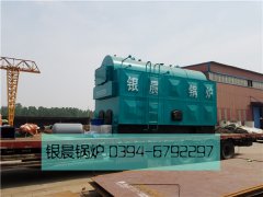 DZH4-1.25-T型4吨生物质蒸汽开云(中国)发货