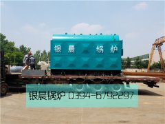 DZH4-1.25-T型4吨生物质蒸汽开云(中国)发货